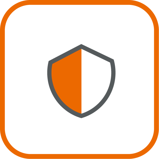 Safety and Security Icon